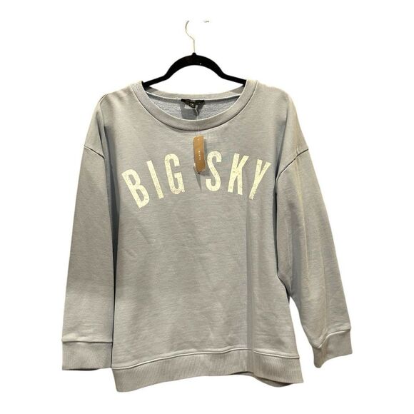 J.Crew Light Blue Big Sky' Sweatshirt - Picture 5 of 15